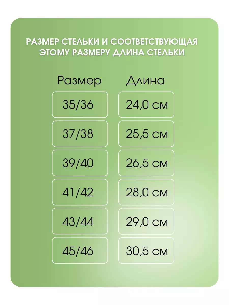 Spa ProBrush